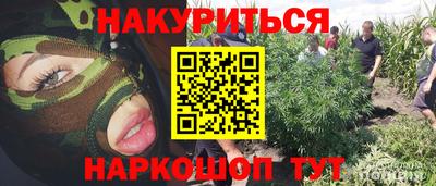 спайс Обь
